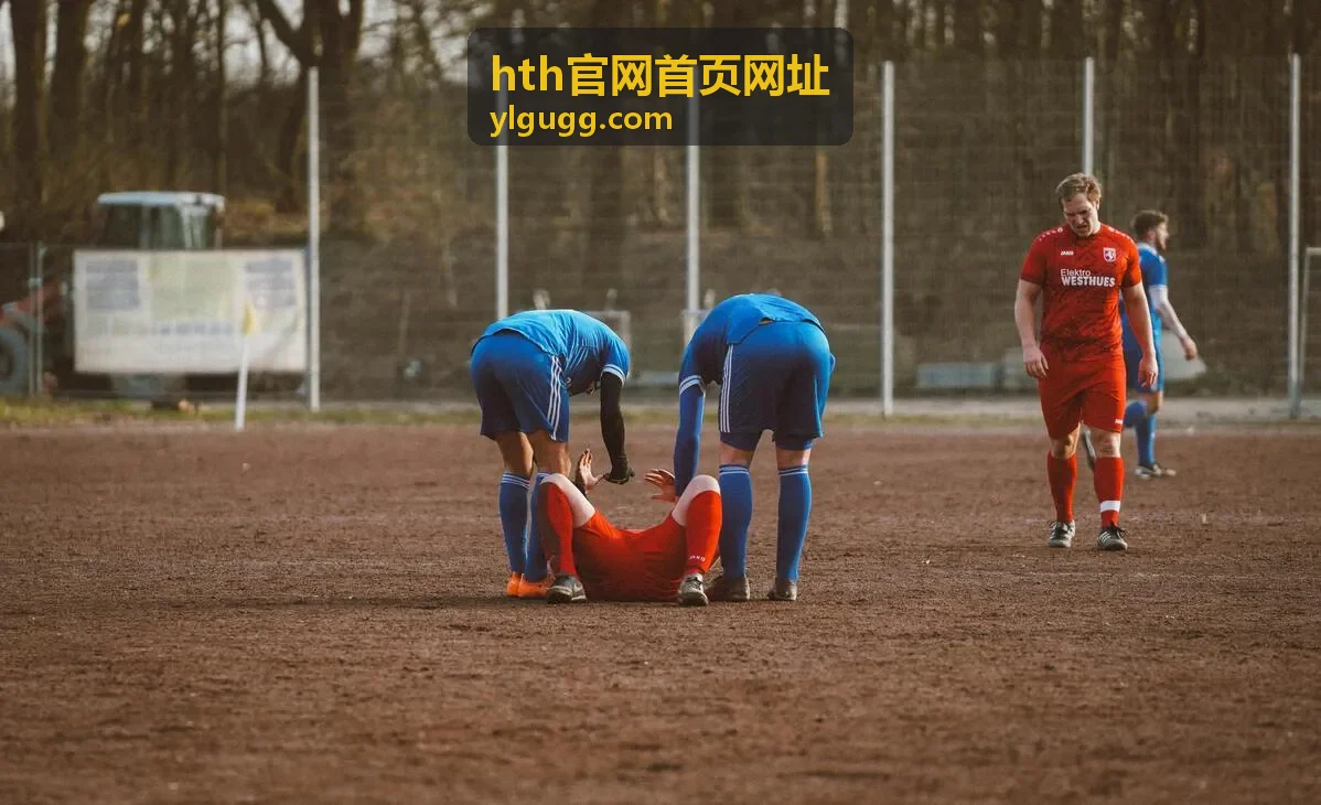 hth官网首页网址入口查询页面的访问与核对场景